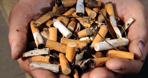 Cigarette Butts