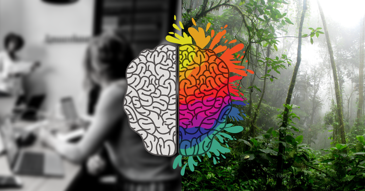 mindfulness ritual